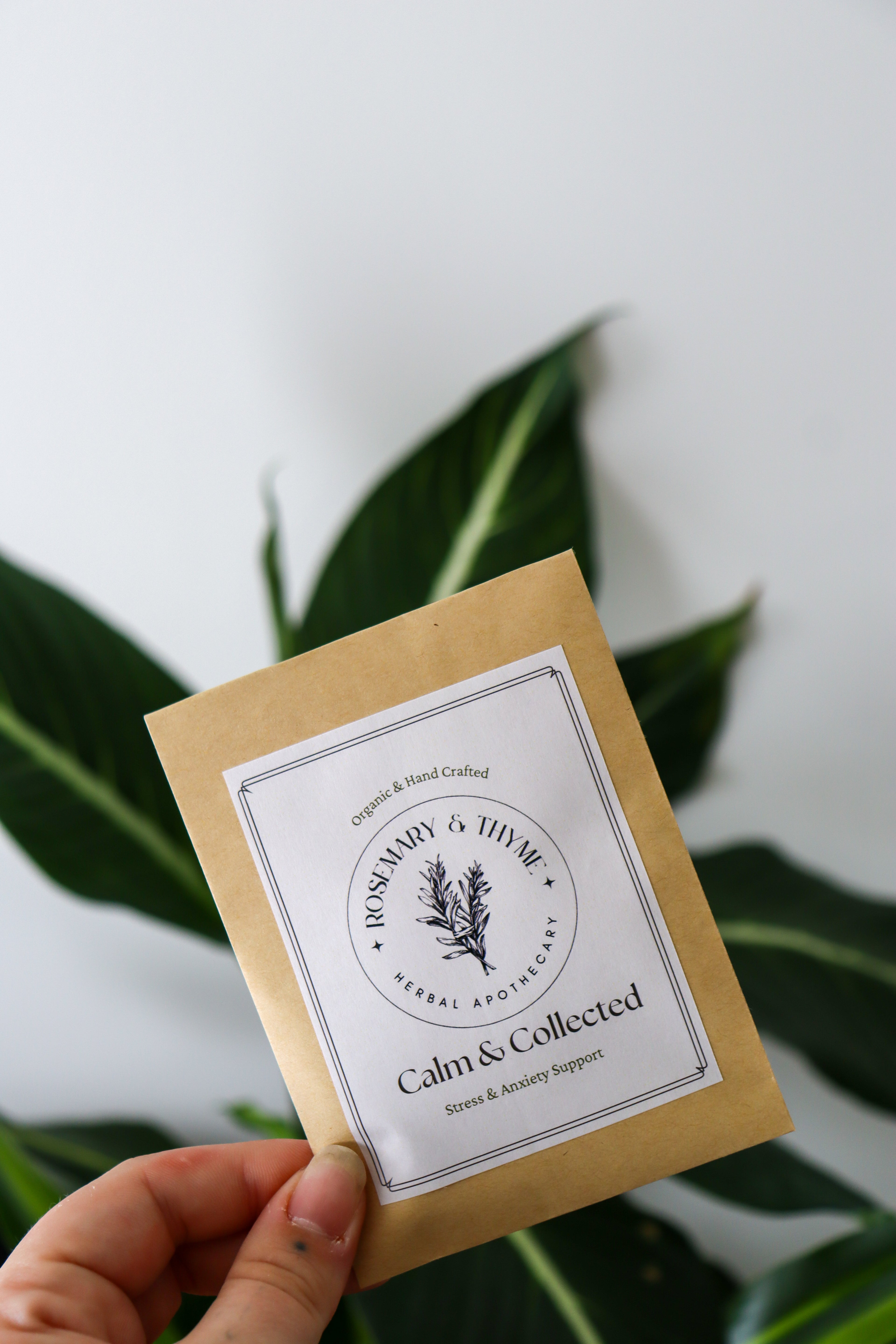 Calm & Collected Sample