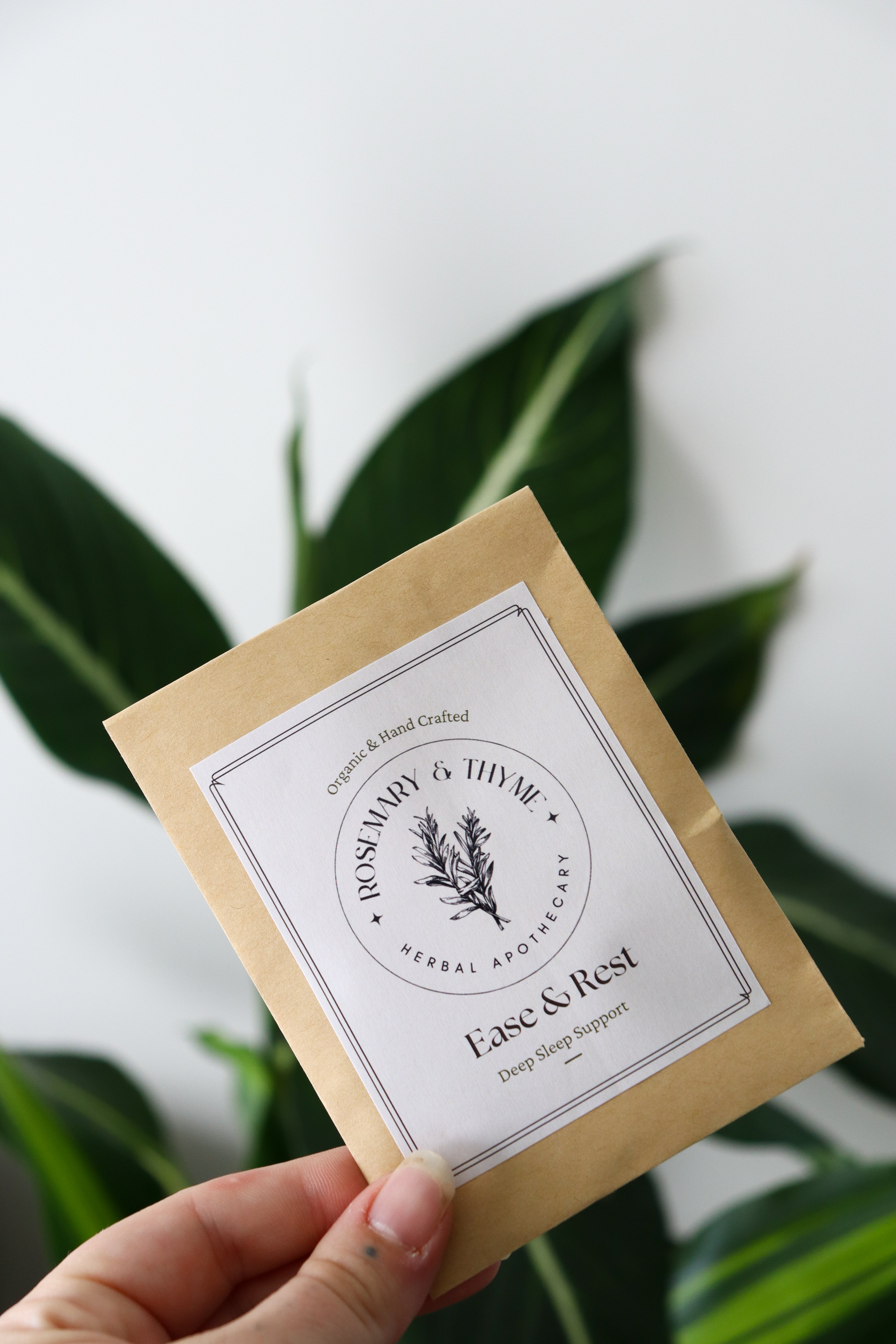 Ease & Rest Sample